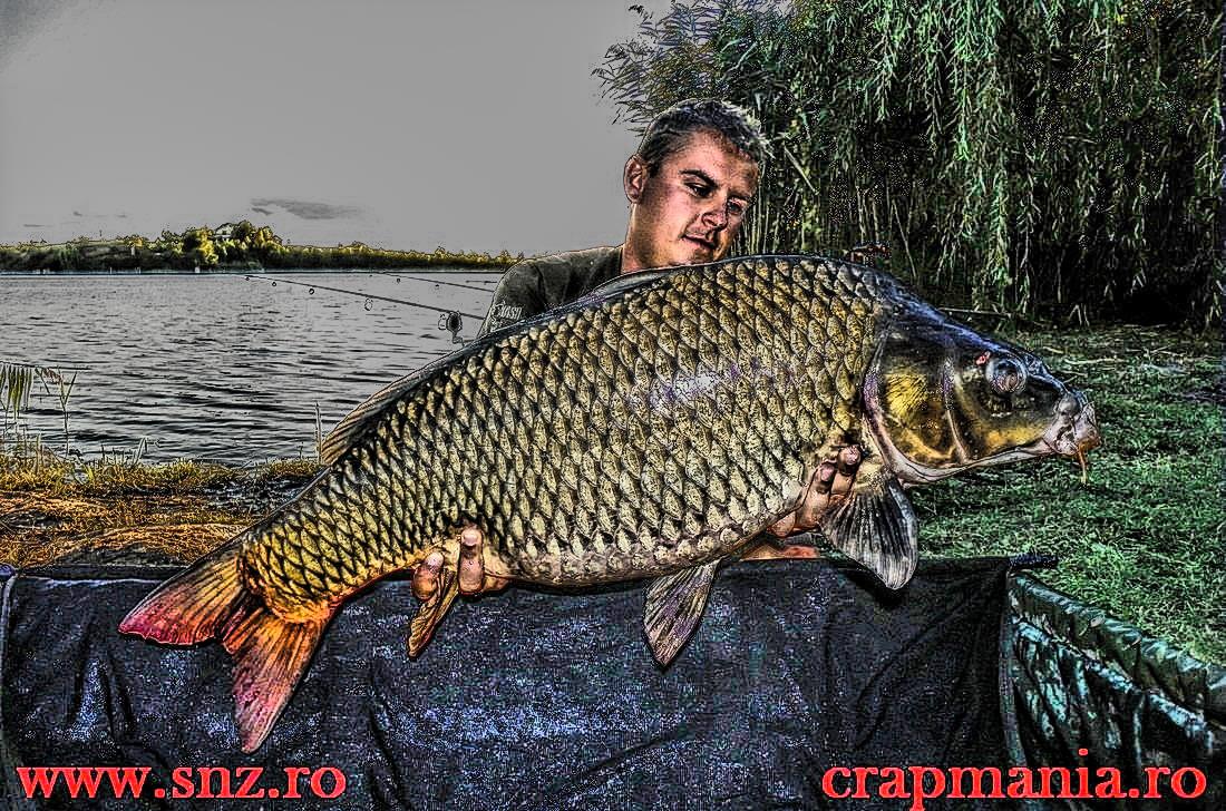 Debutmania - 2013 (2) - 1030470hdrmode2.JPG